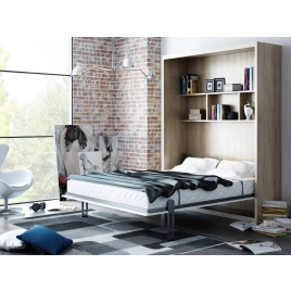 Wallbed